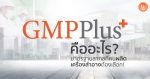 Gmpplus+คืออะไร